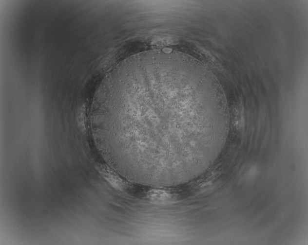 X0000076370519200610061102