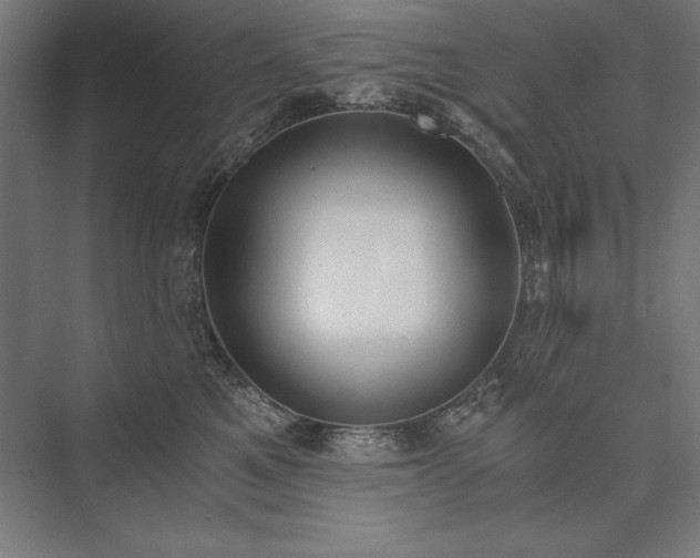 X0000076370521200610061102