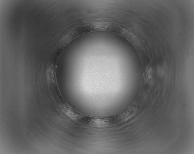 X0000076370522200610061102