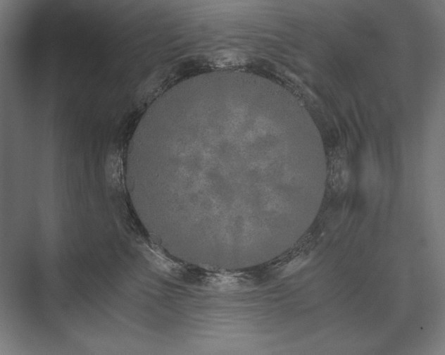 X0000076370523200610061102