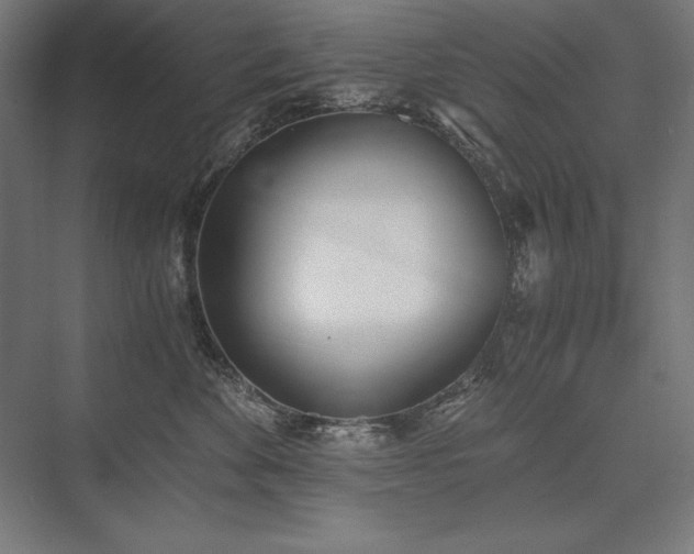 X0000076370524200610061102
