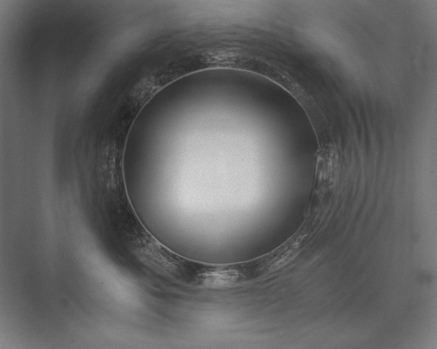 X0000076370525200610061101