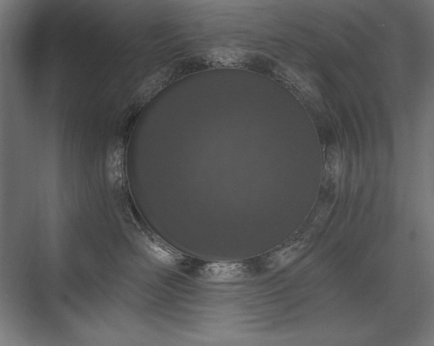 X0000076370526200610061101