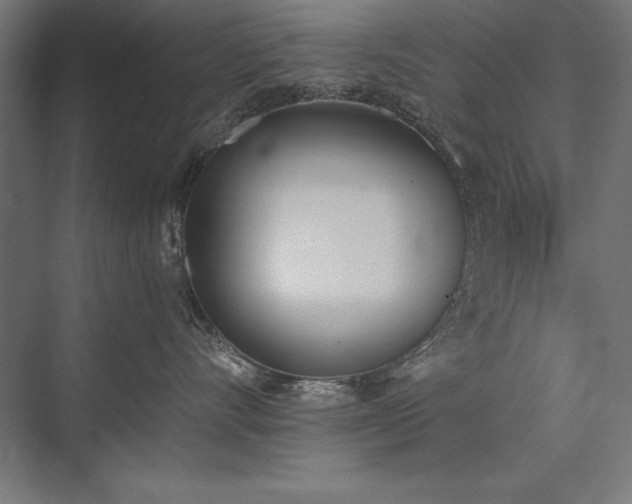 X0000076370528200610061101