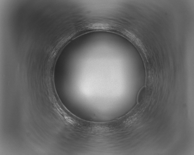 X0000076370529200610061101
