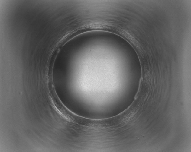 X0000076370530200610061101