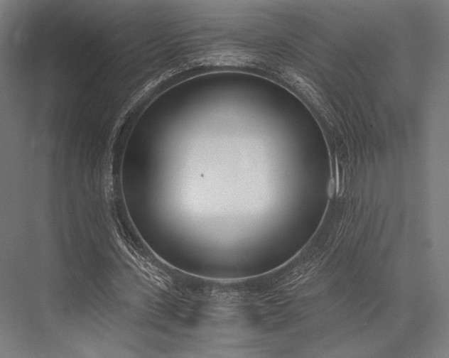 X0000076370531200610061101