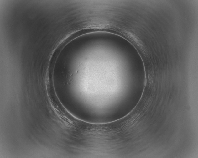 X0000076370532200610061101