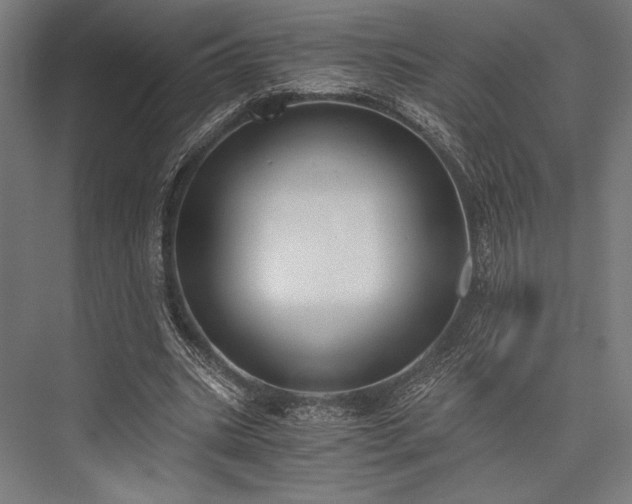 X0000076370535200610061101