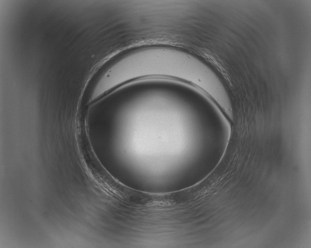 X0000076370536200610061101