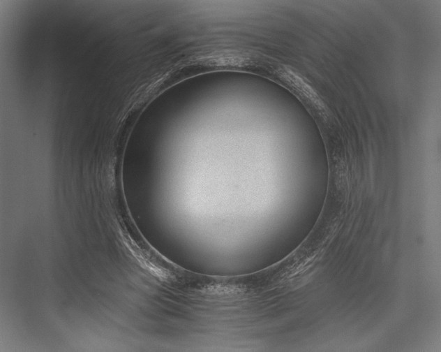 X0000076370537200610061101