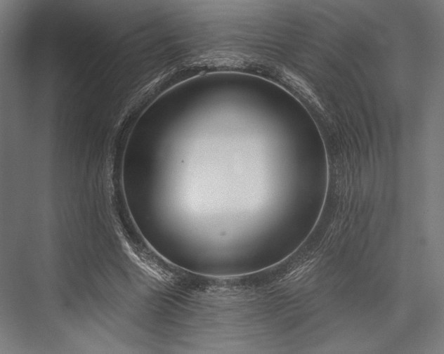 X0000076370538200610061101