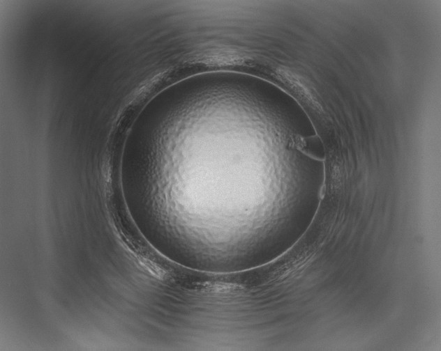 X0000076370539200610061101