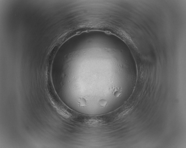 X0000076370542200610061101