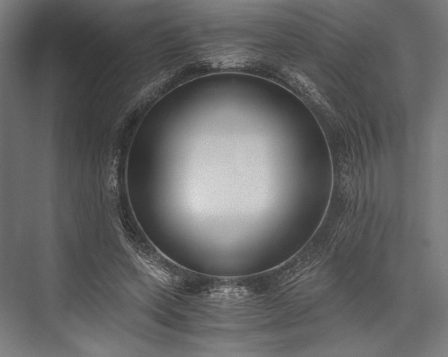 X0000076370543200610061101