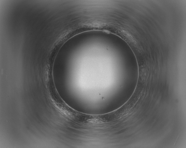 X0000076370544200610061101