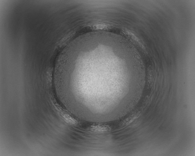 X0000076370545200610061101