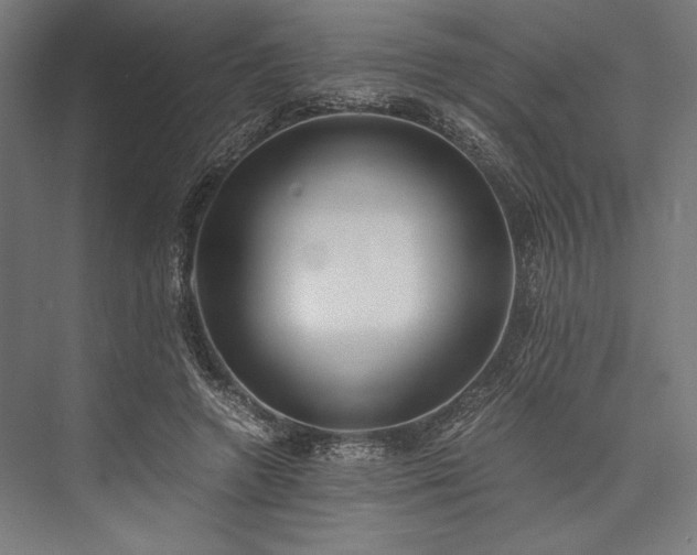 X0000076370546200610061101
