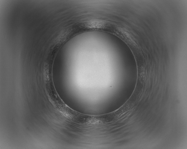 X0000076370547200610061101