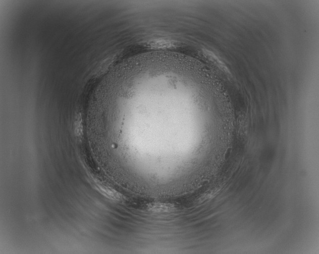 X0000076370549200610061101