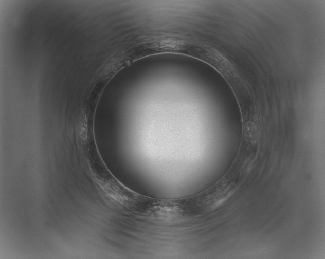 X0000076370552200610061101
