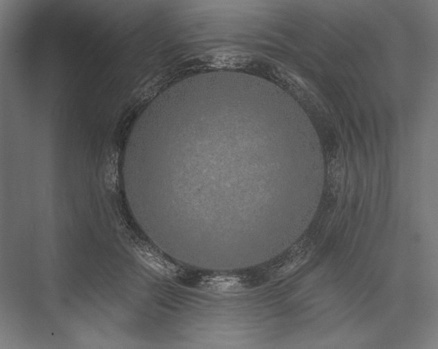 X0000076370554200610061101