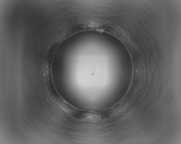 X0000076370555200610061101