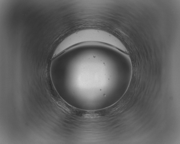 X0000076370556200610061101