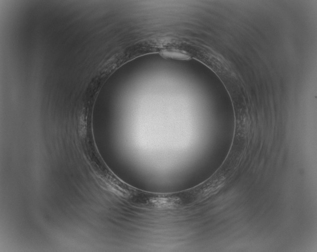 X0000076370558200610061101