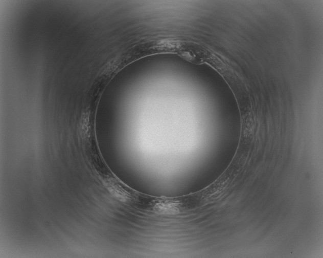 X0000076370560200610061101