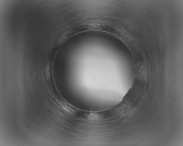 X0000076370562200610061101