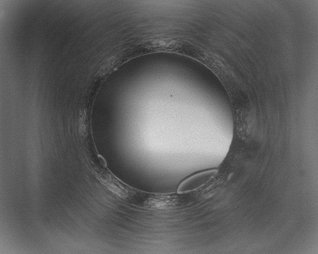X0000076370563200610061101