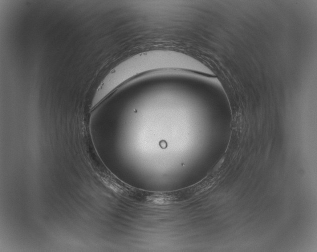 X0000076370564200610061101