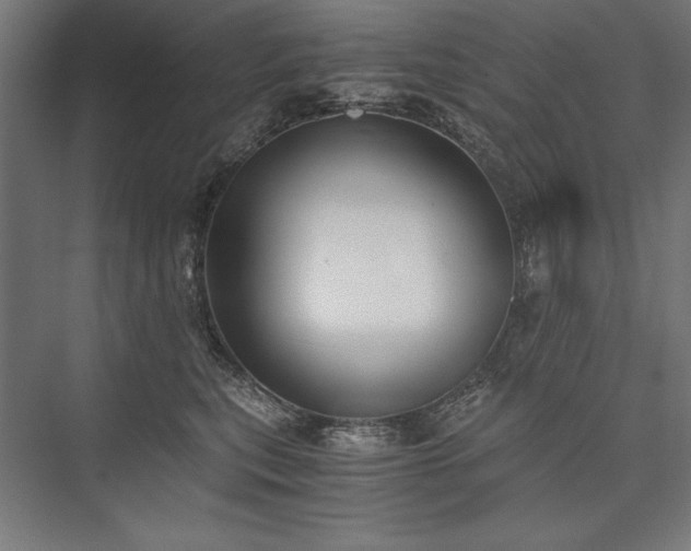 X0000076370567200610061101