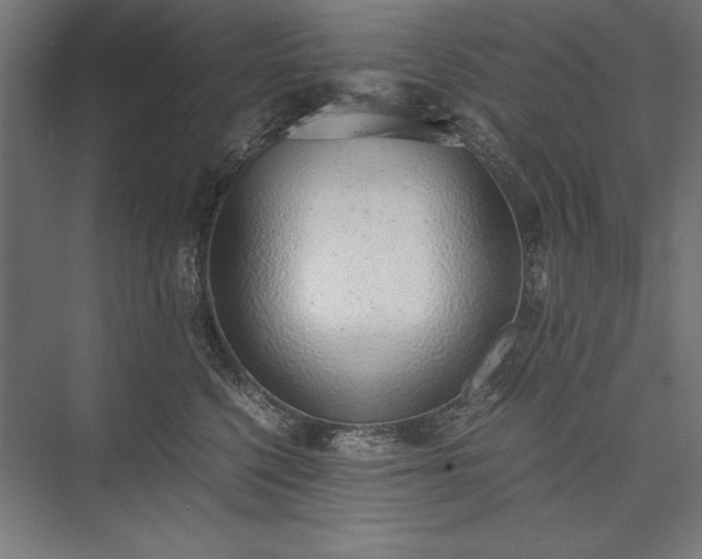 X0000076370568200610061101