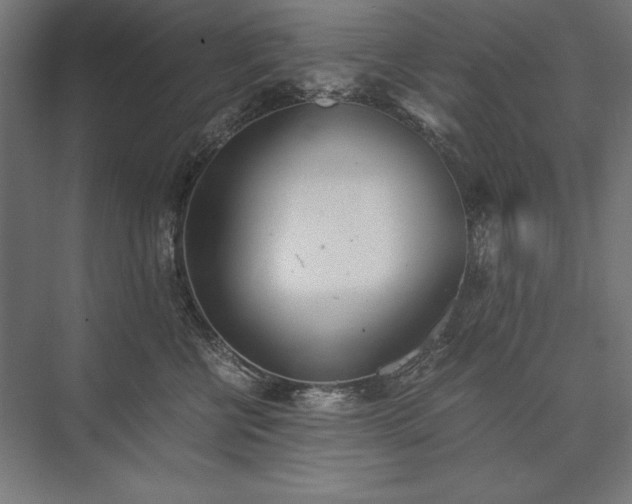 X0000076370570200610061101