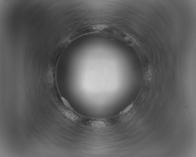 X0000076370572200610061101