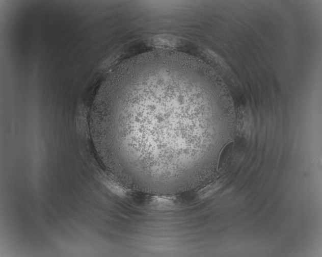 X0000076370573200610061101