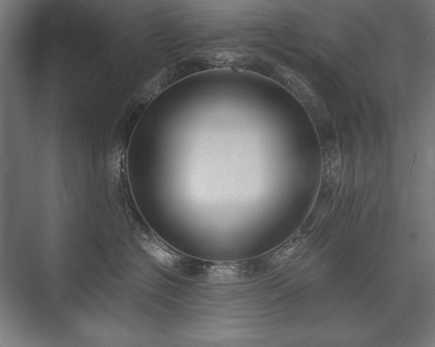 X0000076370574200610061101
