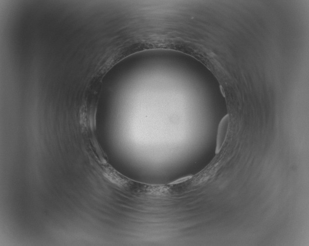 X0000076370576200610061101