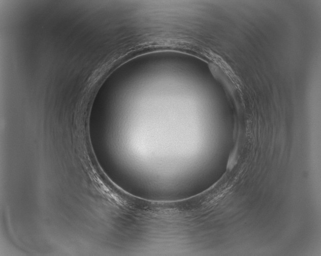 X0000076370577200610061101