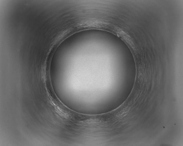 X0000076370578200610061101