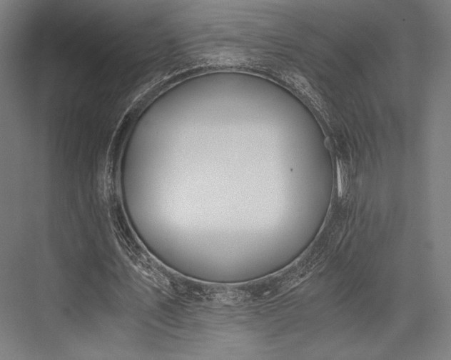 X0000076370579200610061101