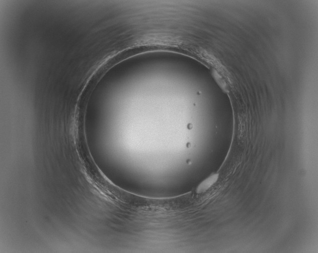 X0000076370580200610061101