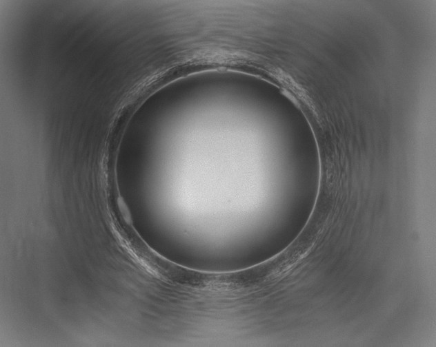 X0000076370581200610061101