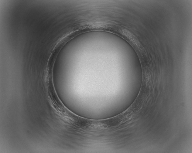 X0000076370583200610061101