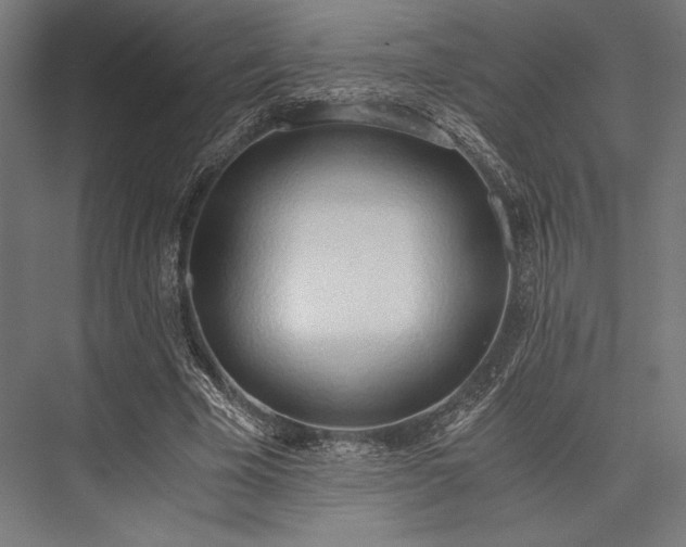 X0000076370585200610061100