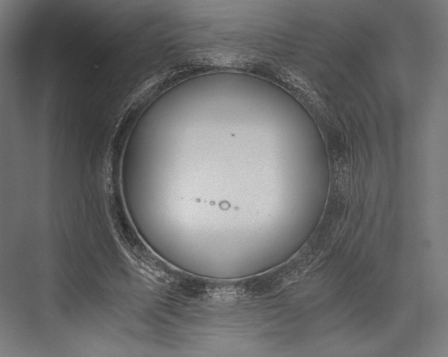 X0000076370587200610061100