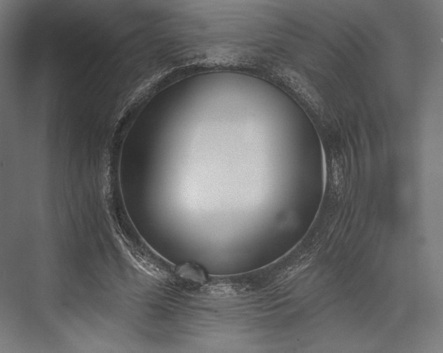 X0000076370588200610061100