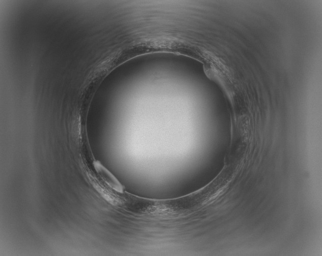 X0000076370589200610061100